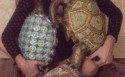 20080802 Fragmenta, mosaici al femminile - Dusciana Bravura con le sue tartarughe