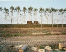 20080224 Valerio Rebecchi - Valerio Rebecchi img001