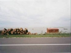 20080224 Valerio Rebecchi - Valerio Rebecchi img004