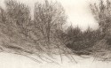 20130210 Sara Cavallaro, Incisioni e disegni  - Sara Cavallaro, verso il Po