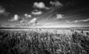 Soncin Daniele Polesine B&W 1