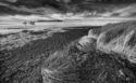 Soncin Daniele Polesine B&W 3